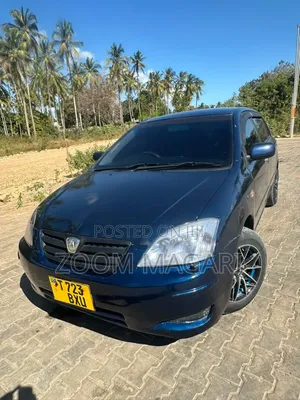 Toyota Allex 2003 Blue