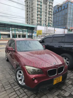 BMW X1 2010 Maroon