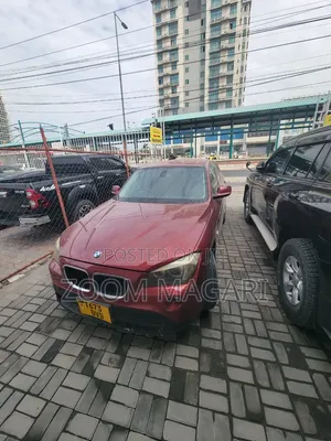 BMW X1 2010 Maroon