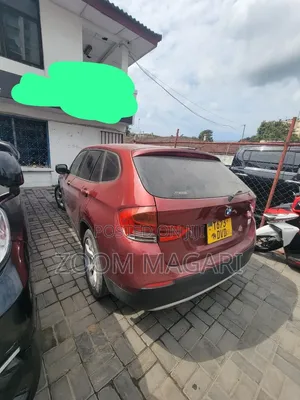 BMW X1 2010 Maroon