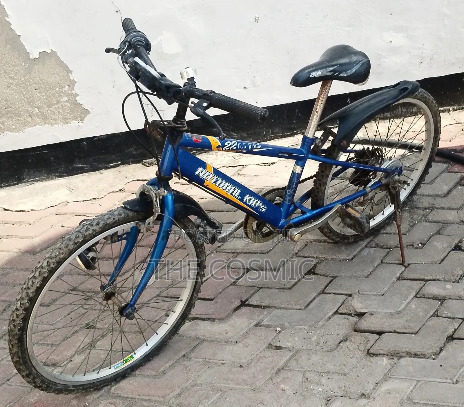 Mountain Bike