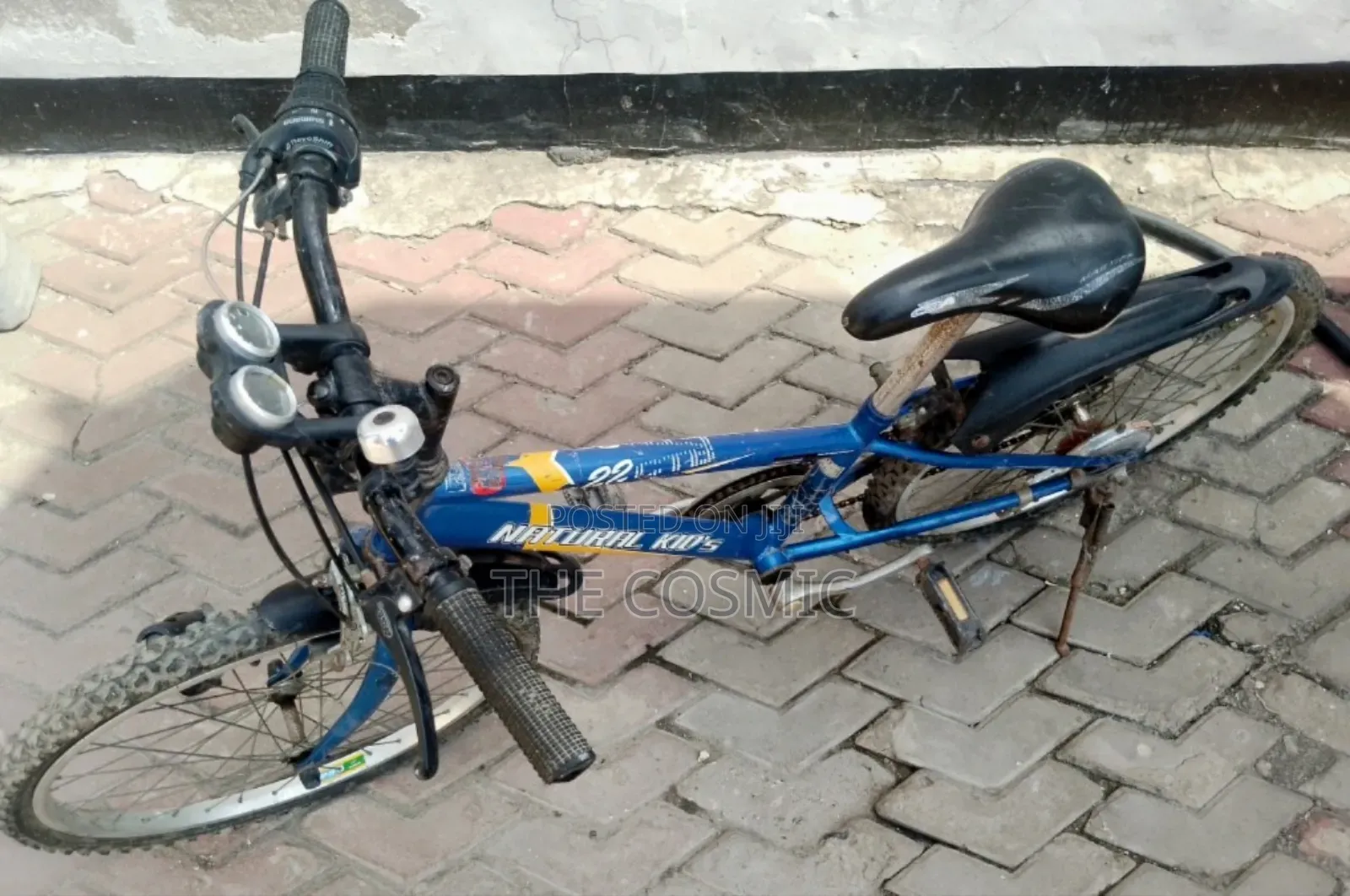 Mountain Bike