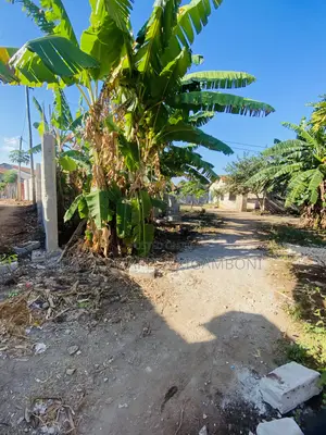 Plot for Sale Kwamwingira Mjimwema Kigamboni