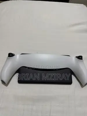 Playstation Portal