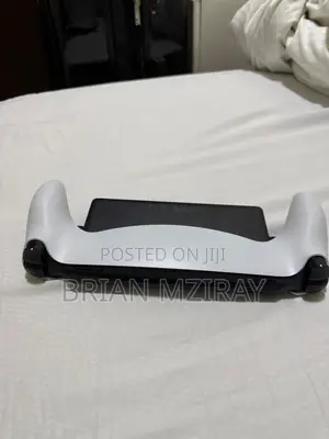 Playstation Portal