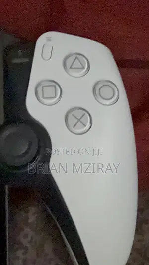 Playstation Portal