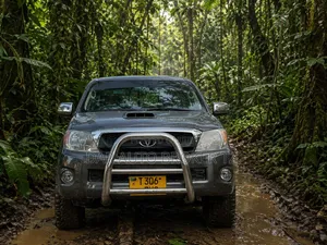 Toyota Hilux 2.5 Cab 2005 Gray