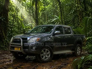 Toyota Hilux 2.5 Cab 2005 Gray
