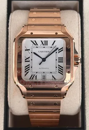 Cartier 
Santos
Mechanical