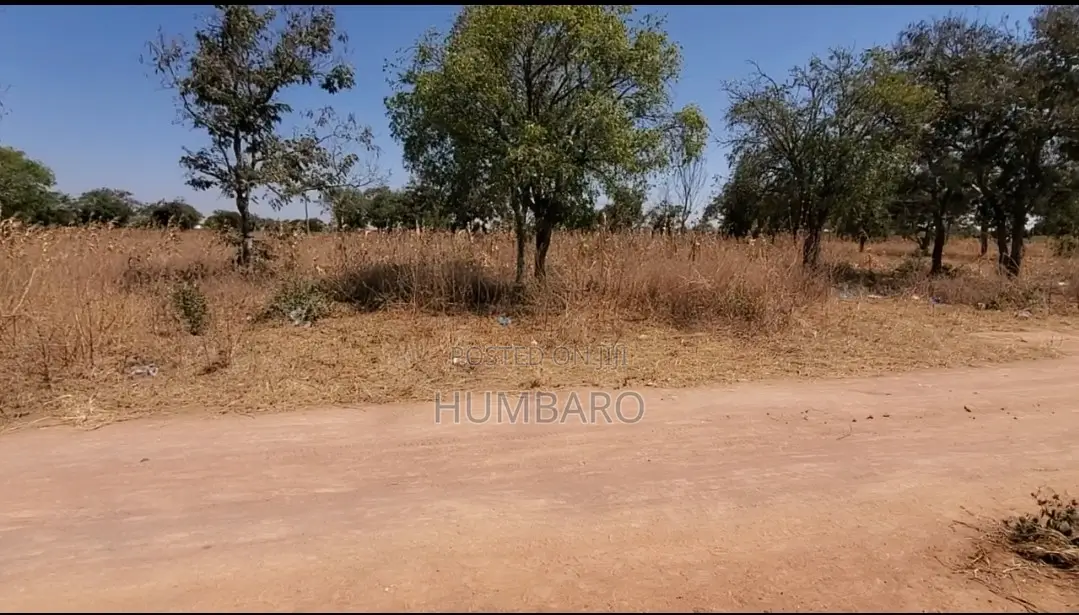 Ni Kiwanja Cha Kwanza Lami, MSALATO Magereza.