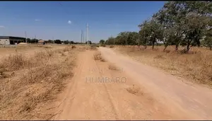 Ni Kiwanja Cha Kwanza Lami, MSALATO Magereza.