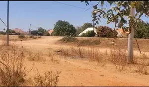Kiwanja Kinauzwa Dodoma MSALATO( Cha Kwanza Lami)