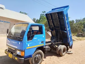 Tipper Canter Kali
