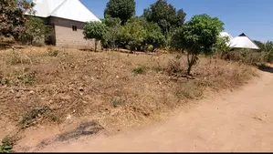 Kiwanja Kinauzwa Msalato(Parokiani). Karibu Na Arusha Road