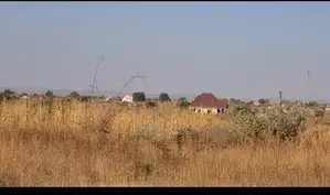 Viwanja Vitatu (MSALATO), Vimeungana(1500sqm). At 500sqm. BEI 6M at