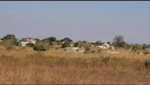 Viwanja Vitatu (MSALATO), Vimeungana(1500sqm). At 500sqm. BEI 6M at