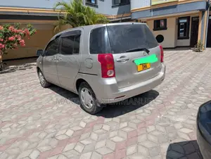 Toyota Raum 2006 Brown