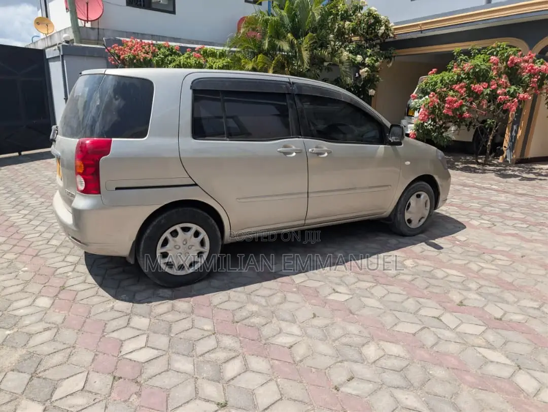 Toyota Raum 2006 Brown