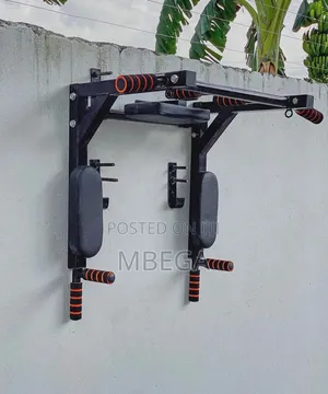 4 in 1 Wall Mounted Pull Up