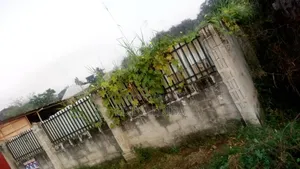 540 SQMS Plot for Sale in Morogoro