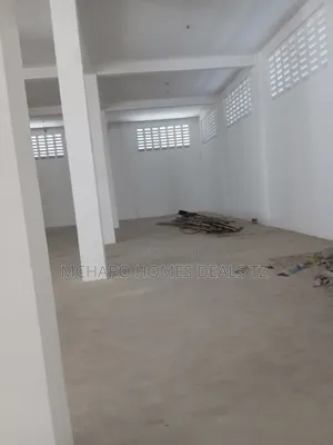 Brand New Warehouse for Rent | Chang'ombe