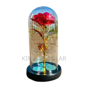 Illuminated Rose in Glass Cover