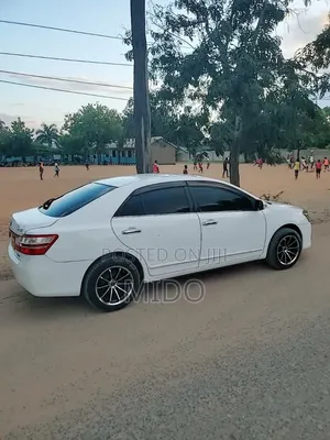 Toyota Premio 2007 White