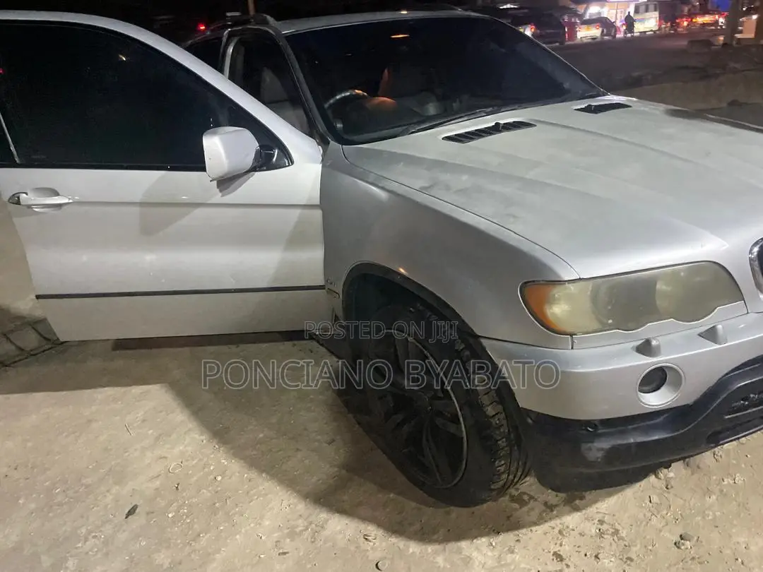 BMW X5 4.4i 2005 Silver