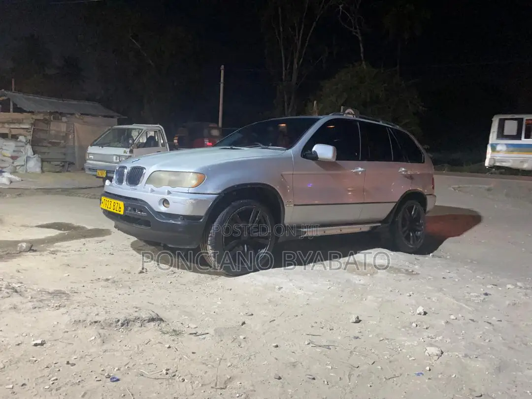 BMW X5 4.4i 2005 Silver