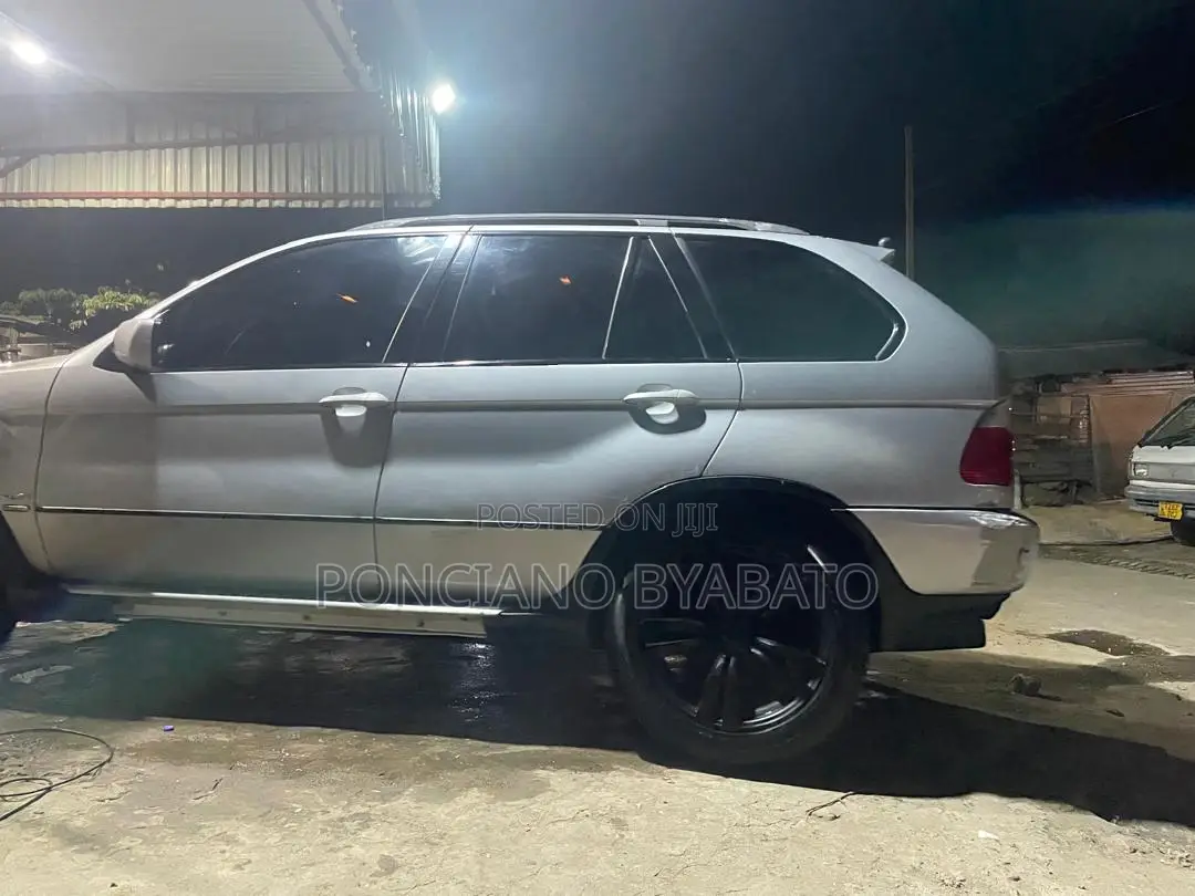 BMW X5 4.4i 2005 Silver