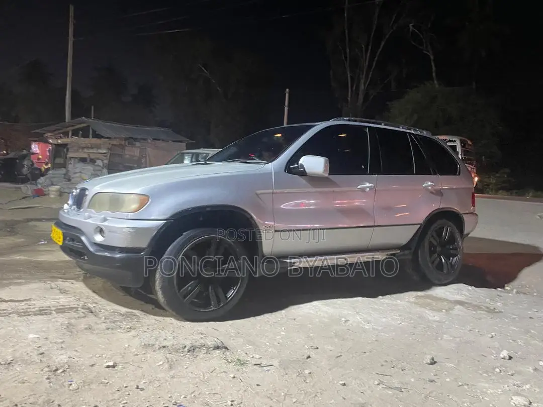 BMW X5 4.4i 2005 Silver