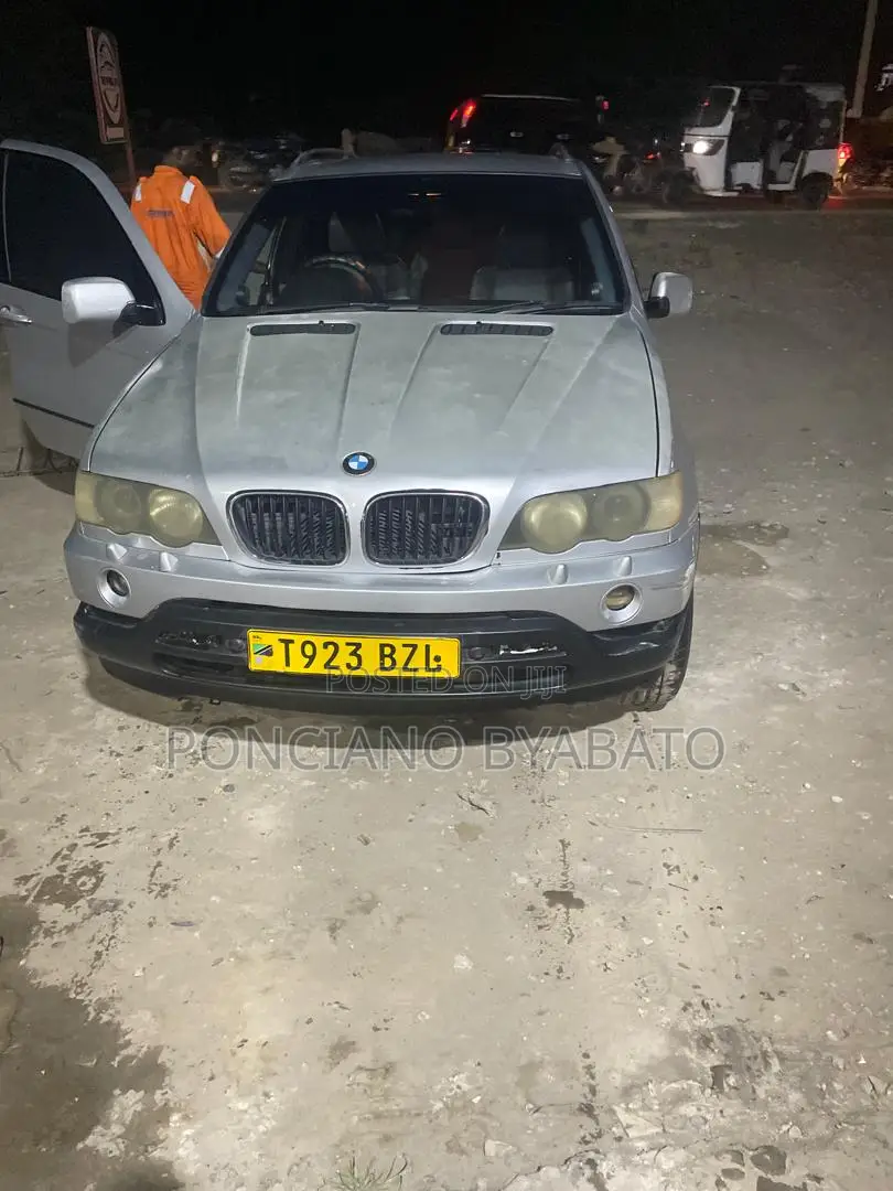 BMW X5 4.4i 2005 Silver
