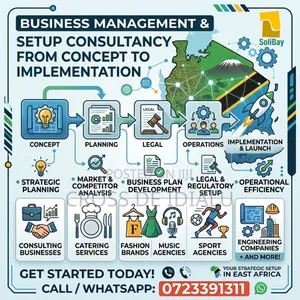 Business Setup and Management Consultancy