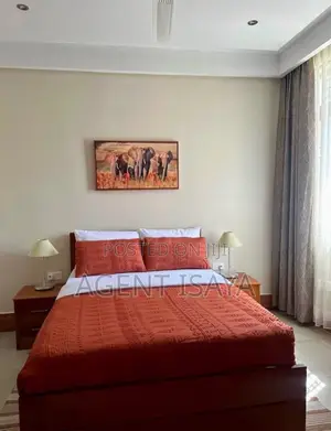 Furnished 2bdrm Apartment in Mikocheni for rent