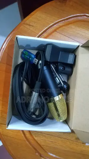 Condenser Microphone
