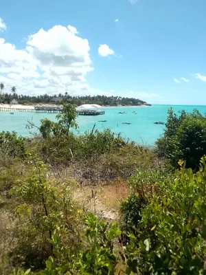 2 Acres Beach Plot for Sale at Jambiani Zanzibar