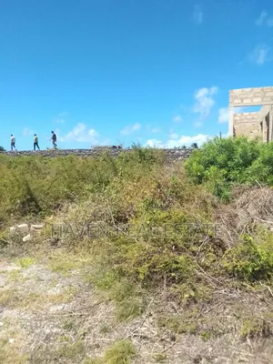 2 Acres Beach Plot for Sale at Jambiani Zanzibar