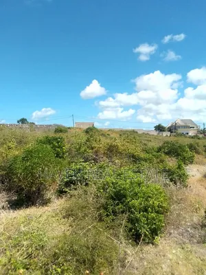2 Acres Beach Plot for Sale at Jambiani Zanzibar