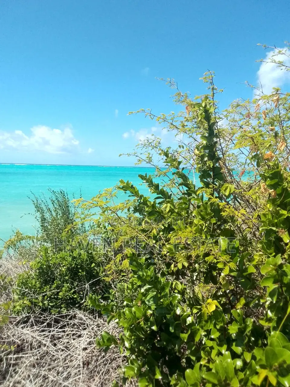 2 Acres Beach Plot for Sale at Jambiani Zanzibar