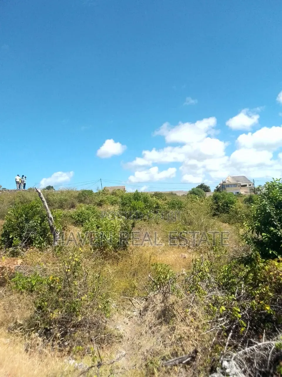2 Acres Beach Plot for Sale at Jambiani Zanzibar
