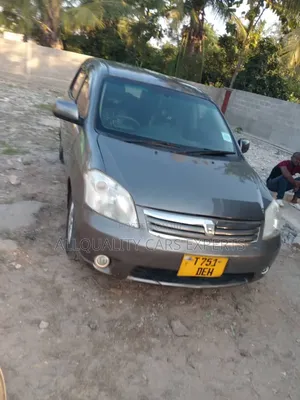 Toyota Raum 2004 Gray