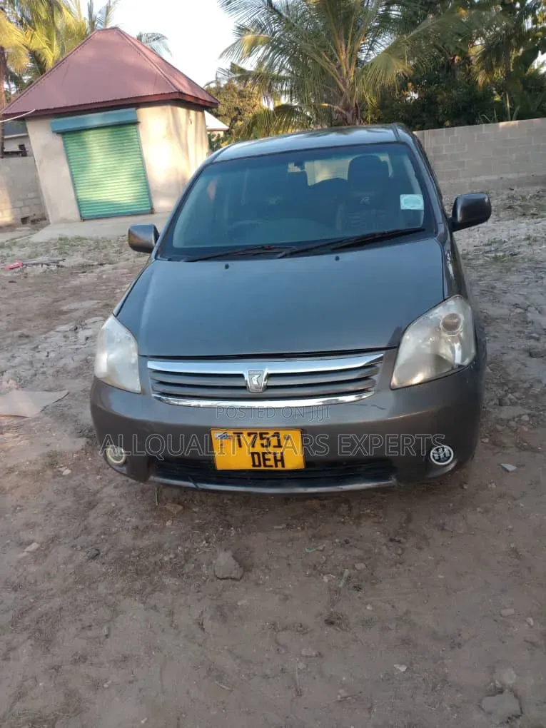 Toyota Raum 2004 Gray