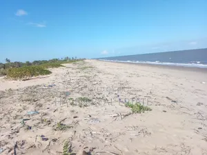 78 Acres Beach Plot Inauzwa Bagamoyo Kitame