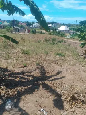 Kiwanja Kinauzwa, Mapinga, Bagamoyo