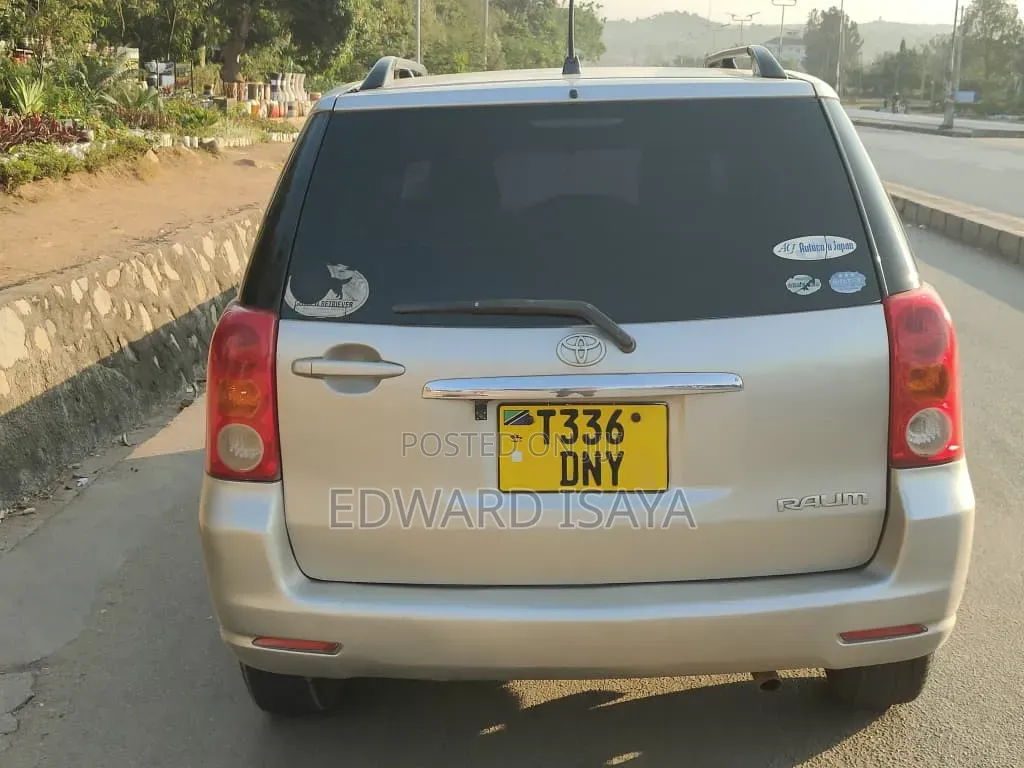 Toyota Raum 2005 Gray
