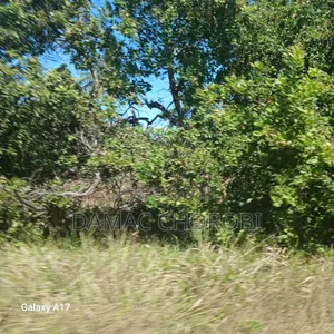 Maeneo Mawrli Yanauzwa Mkuranga Pwani