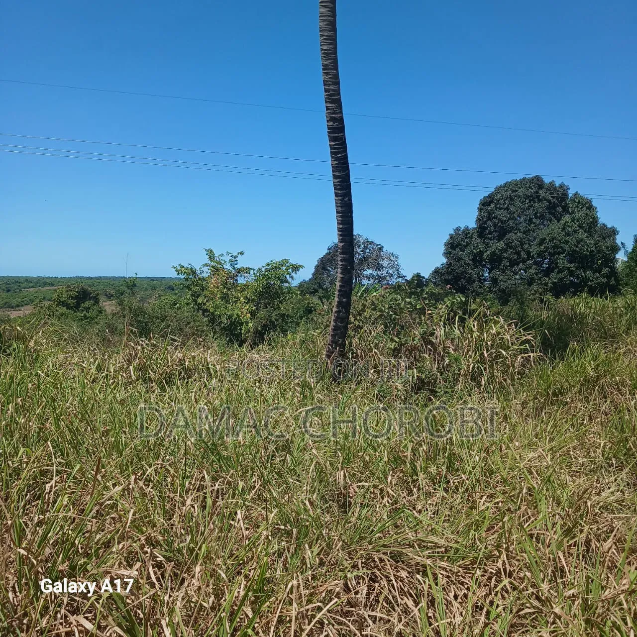 Maeneo Mawrli Yanauzwa Mkuranga Pwani