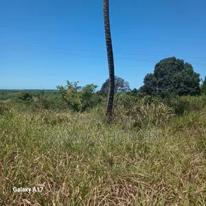 Maeneo Mawrli Yanauzwa Mkuranga Pwani