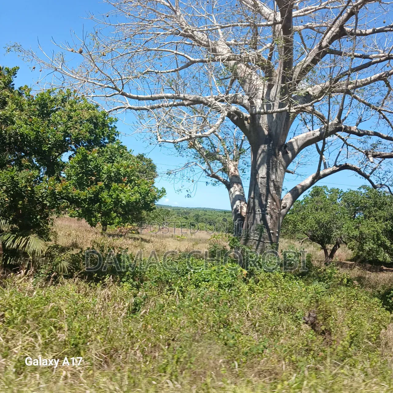 Maeneo Mawrli Yanauzwa Mkuranga Pwani
