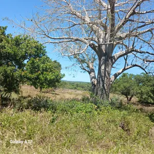 Maeneo Mawrli Yanauzwa Mkuranga Pwani